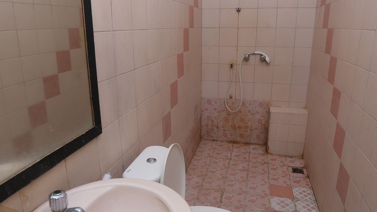 Photo of Bathroom in Chinatown