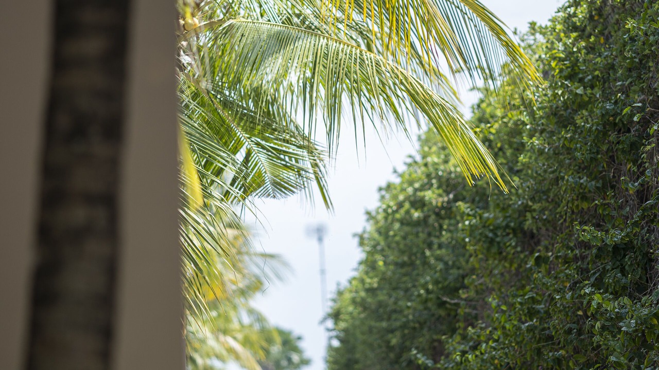 Photo of Outdoor in Seminyak