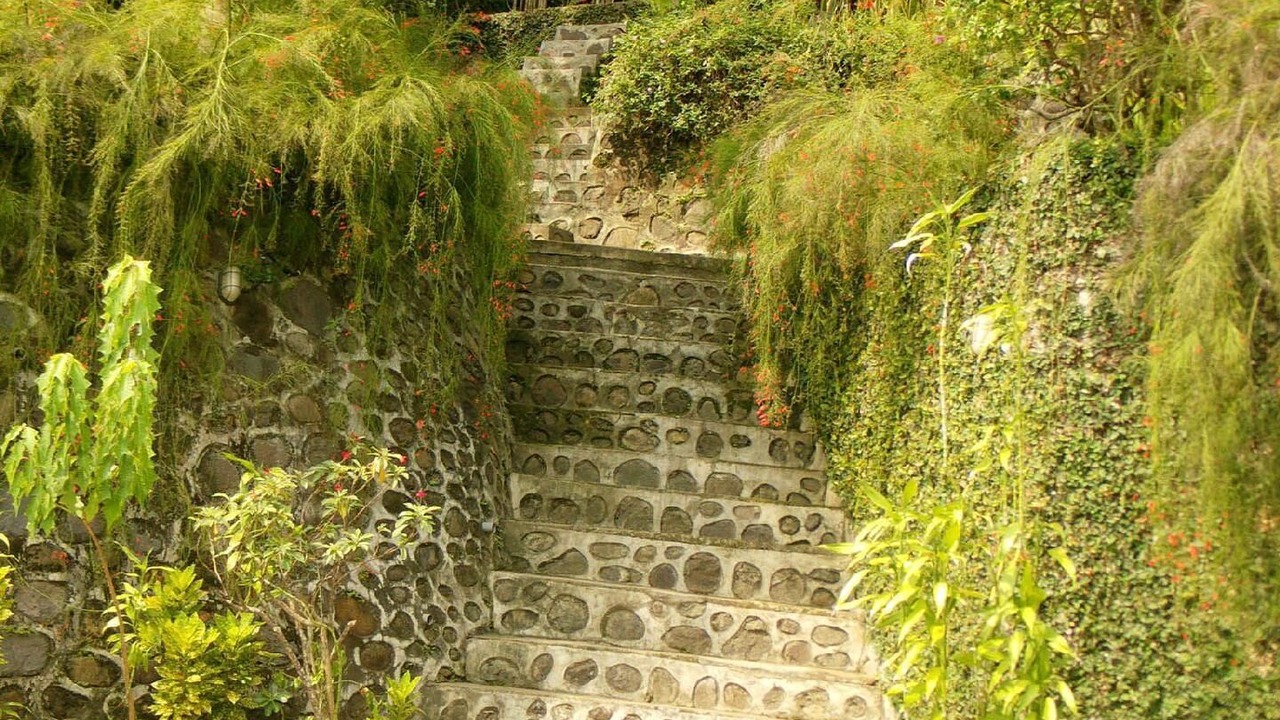 Photo of Outdoor in Senggigi