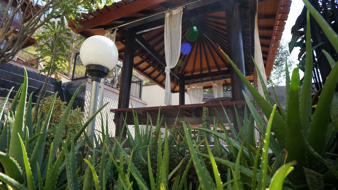 Photo of Outdoor in Senggigi