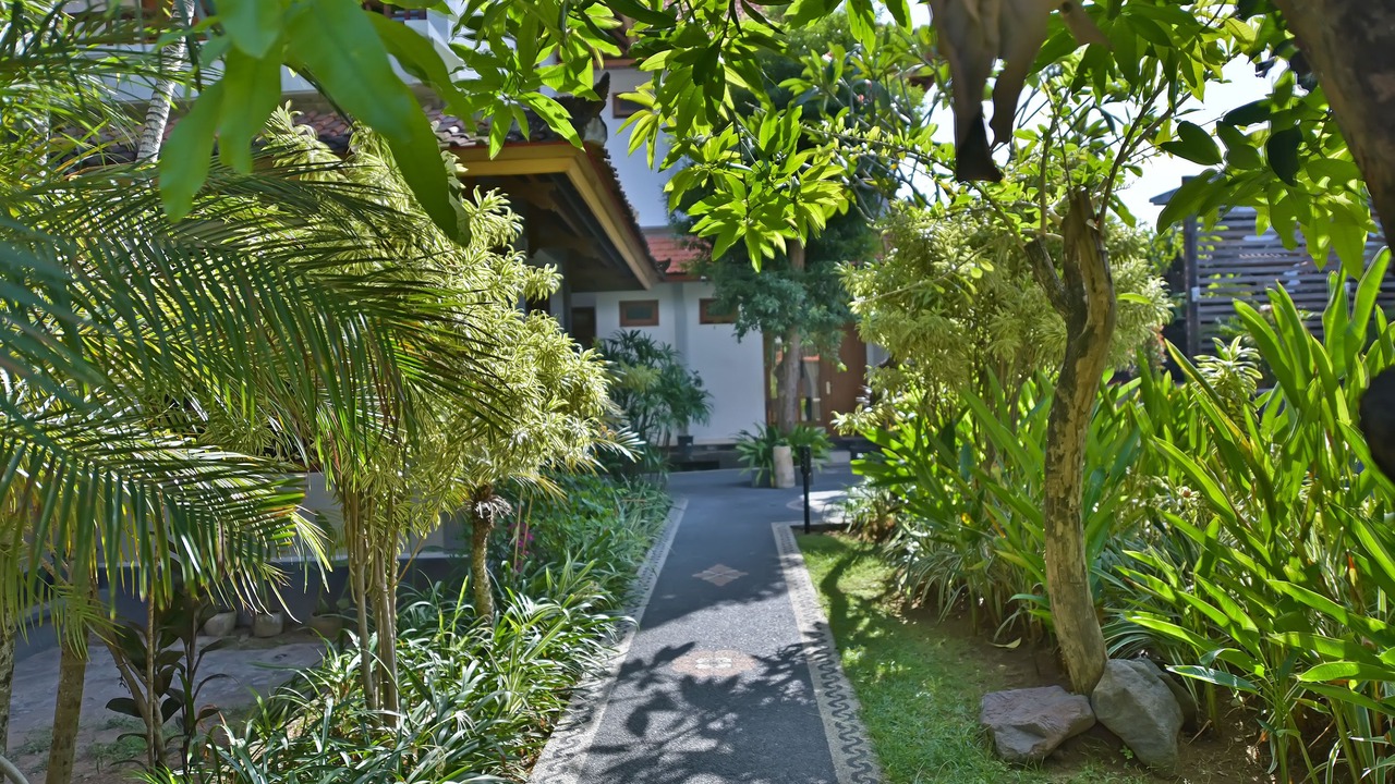 Photo of Outdoor in Kuta