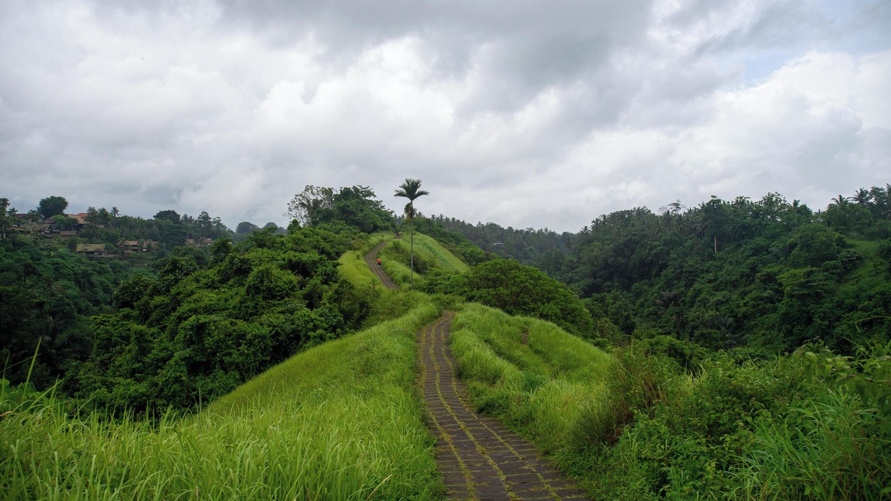 Photo of Outdoor in Ubud City-Centre