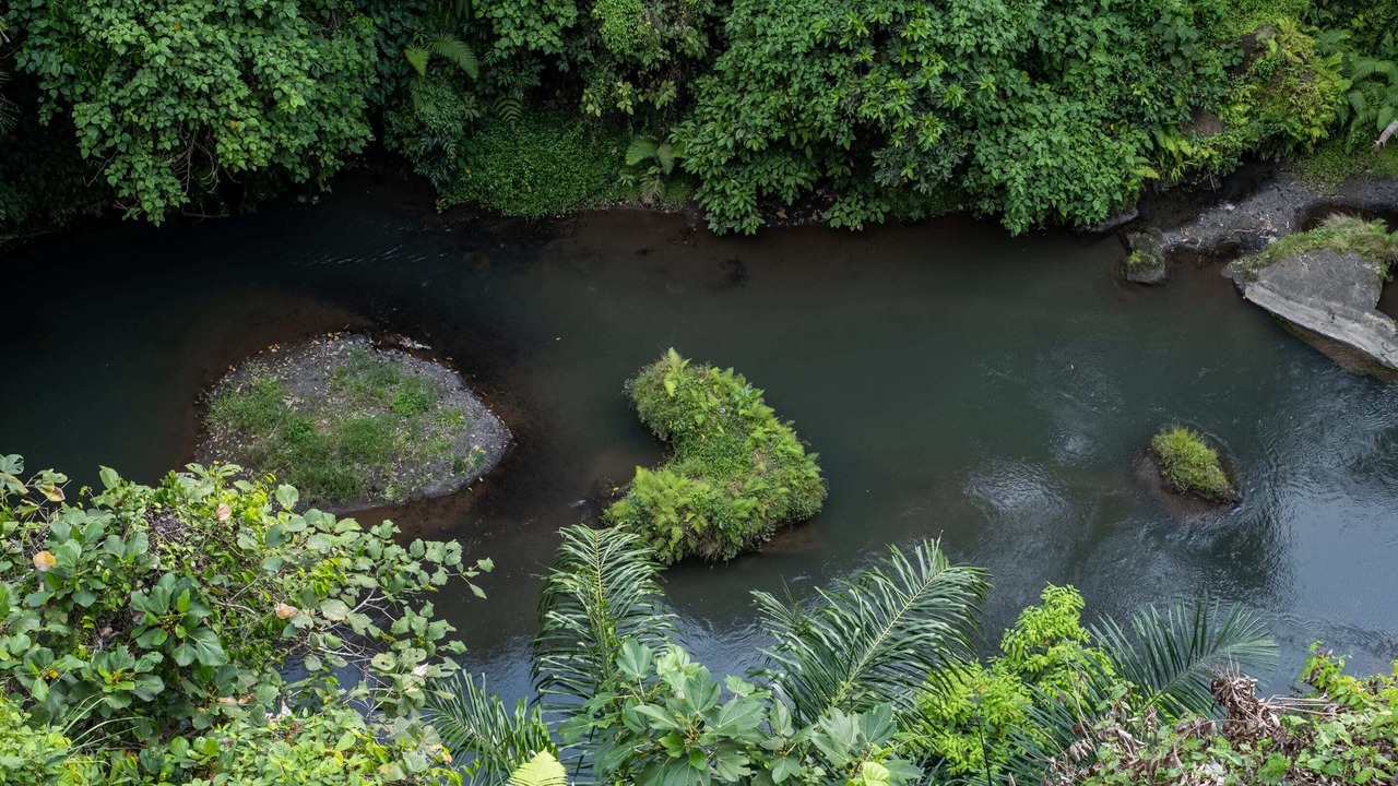 Photo of Outdoor in Ubud