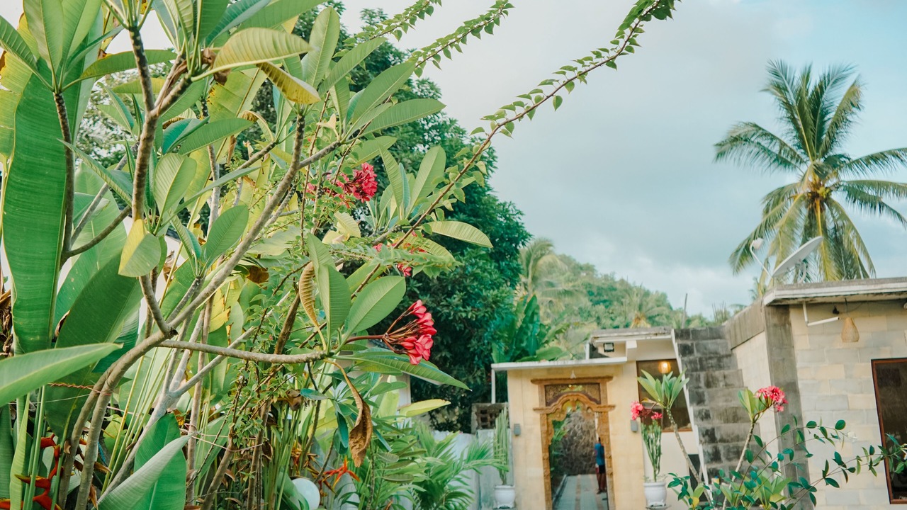 Photo of Outdoor in Selong Belanak