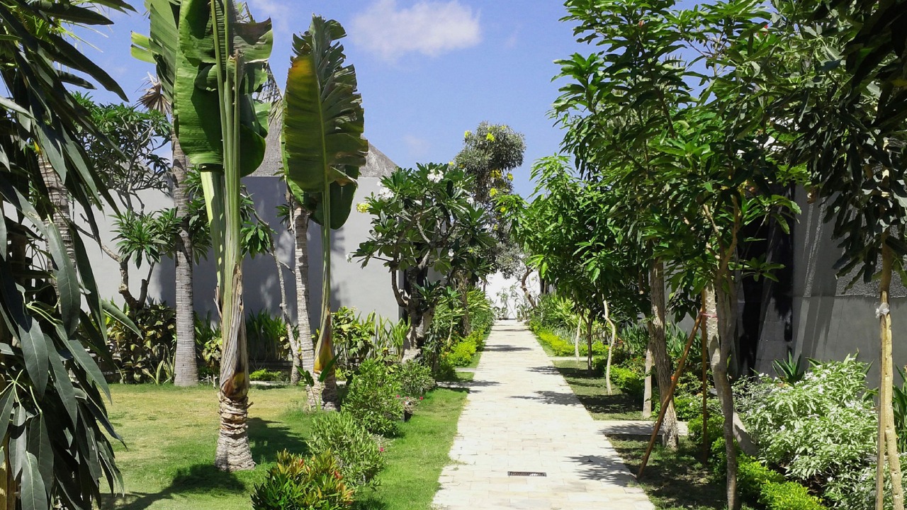 Photo of Outdoor in Sunset Road