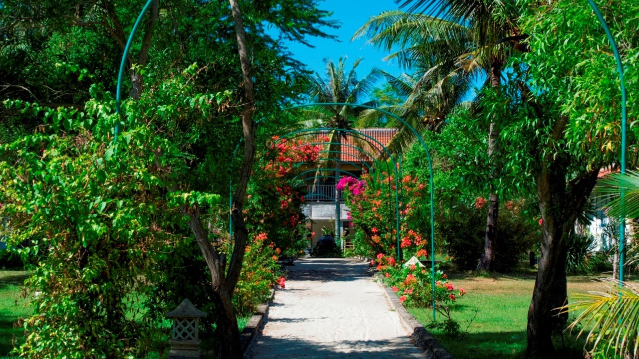 Photo of Outdoor in Gili Trawangan