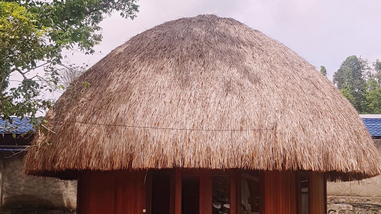 Photo of Outdoor in Waisai