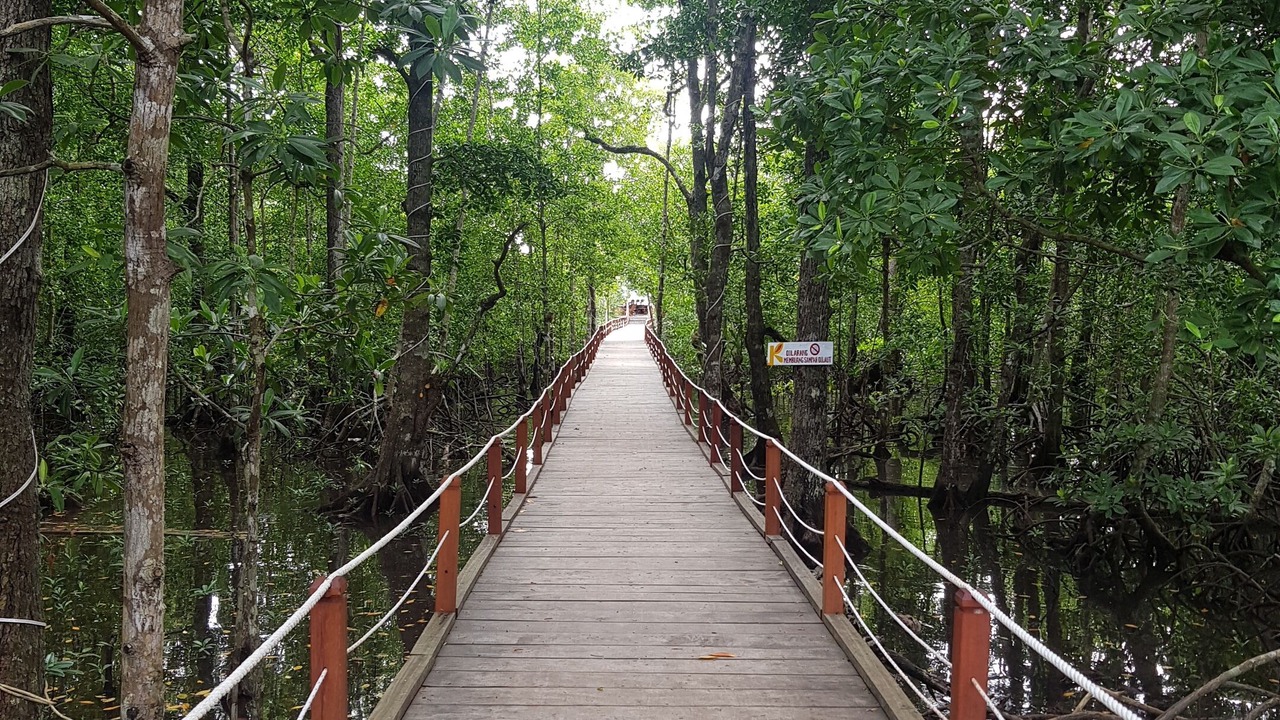 Photo of Outdoor in Waisai