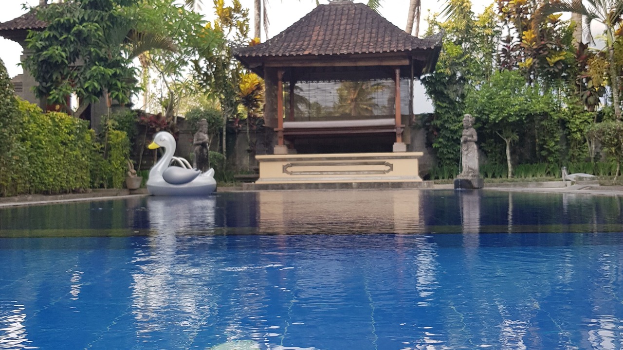 Photo of Outdoor in Pejeng Kawan