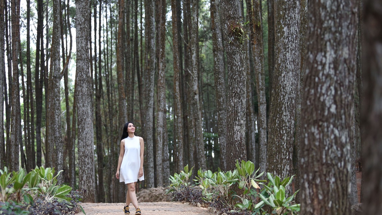 Photo of Others in Catur Tunggal