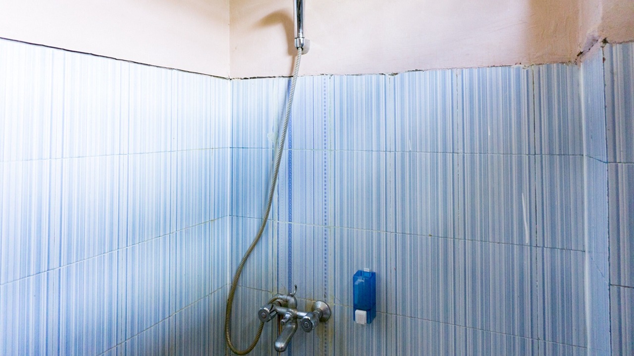 Photo of Others in Timika
