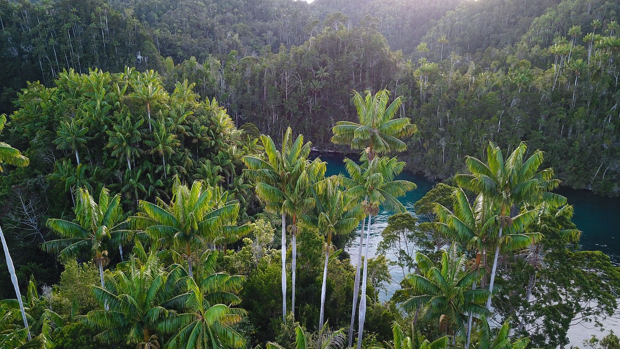 Photo of Outdoor in Waisai