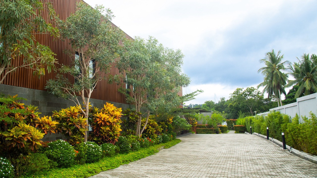 Photo of Outdoor in Waisai