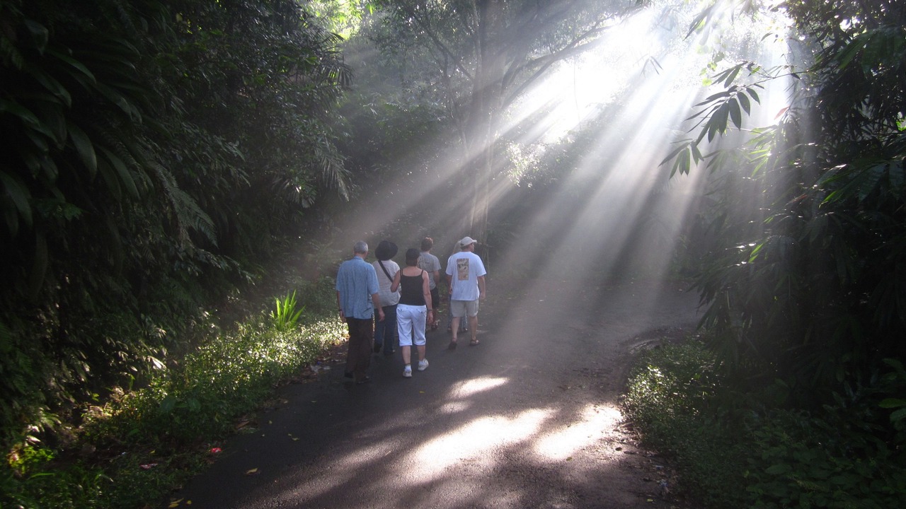 Photo of Outdoor in Pengosekan