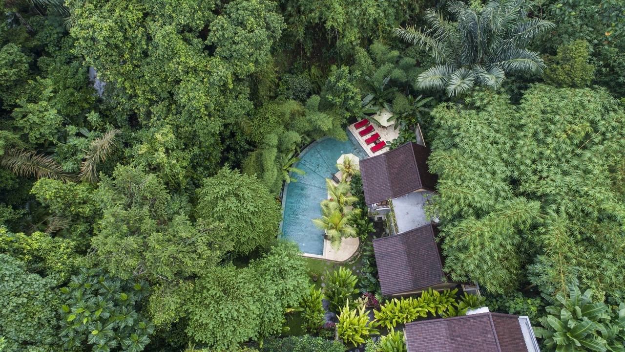 Photo of Outdoor in Peliatan