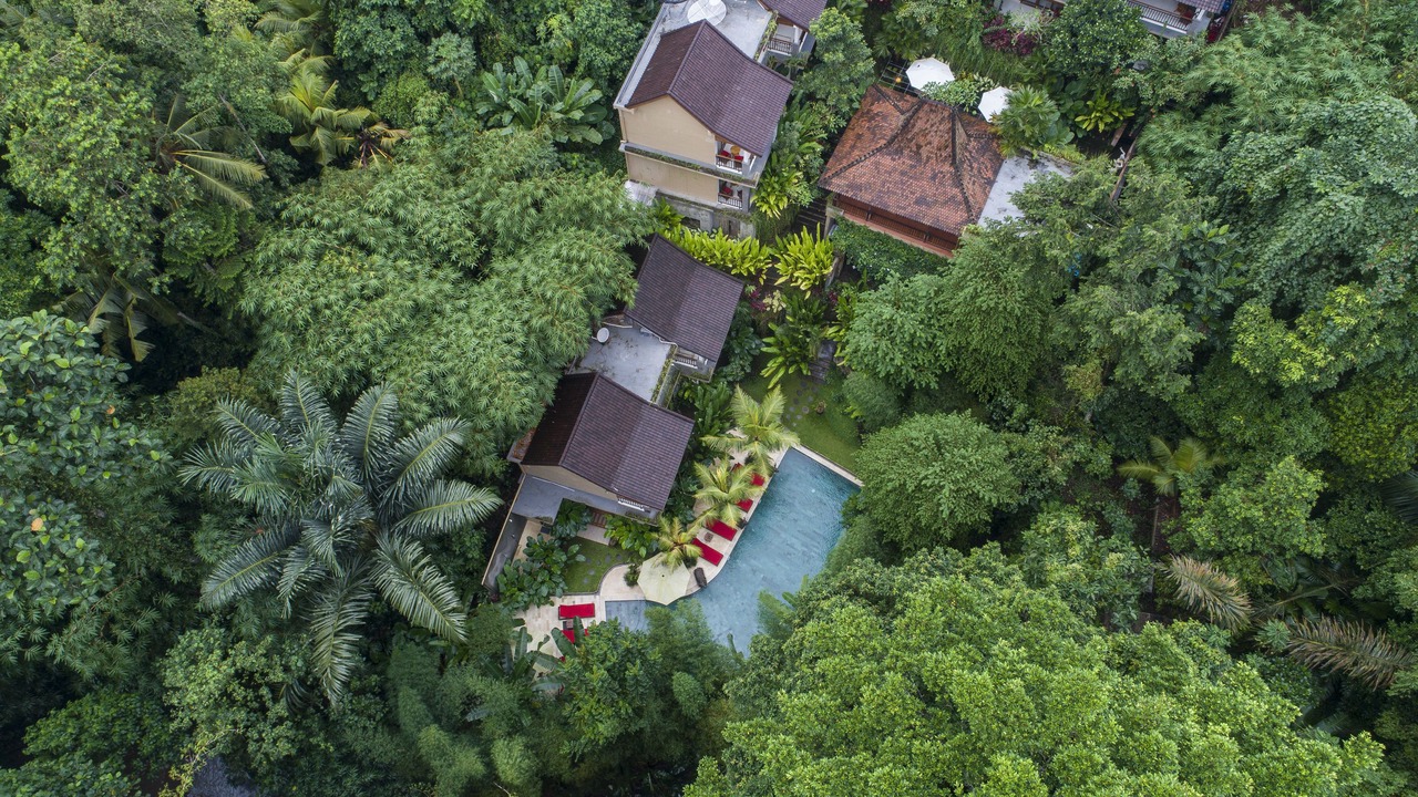 Photo of Outdoor in Peliatan