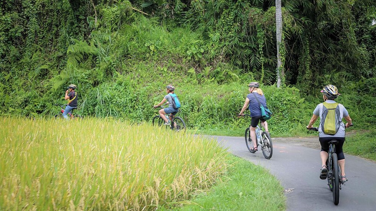 Photo of Outdoor in Nyuh Kuning