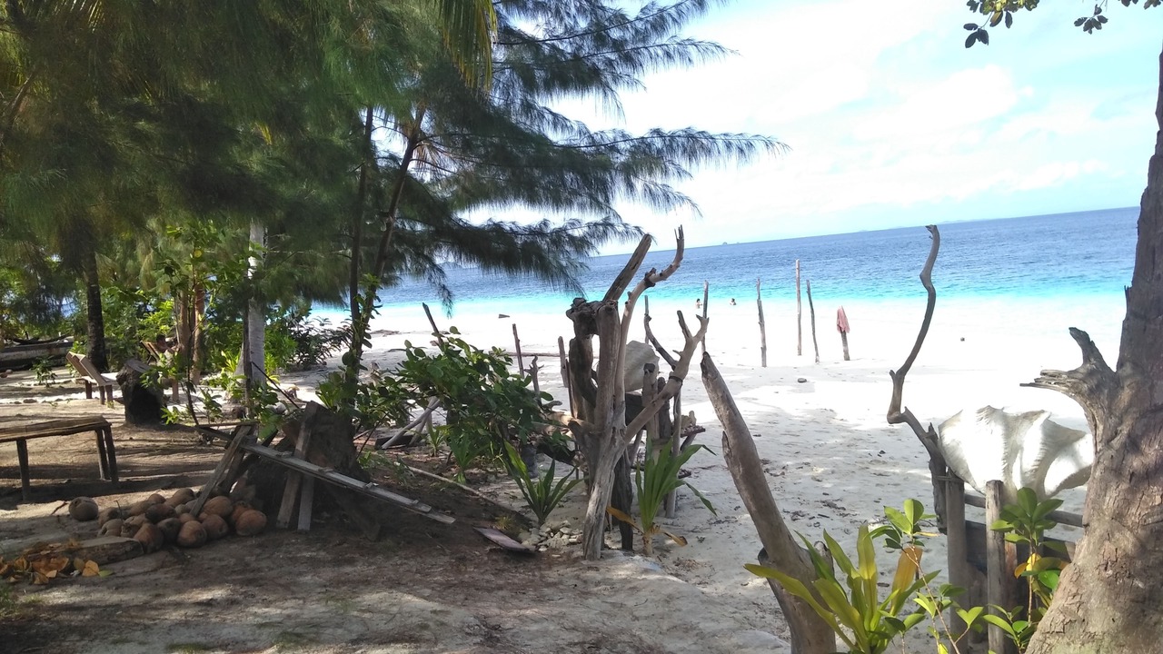 Photo of Others in Pulau Fam