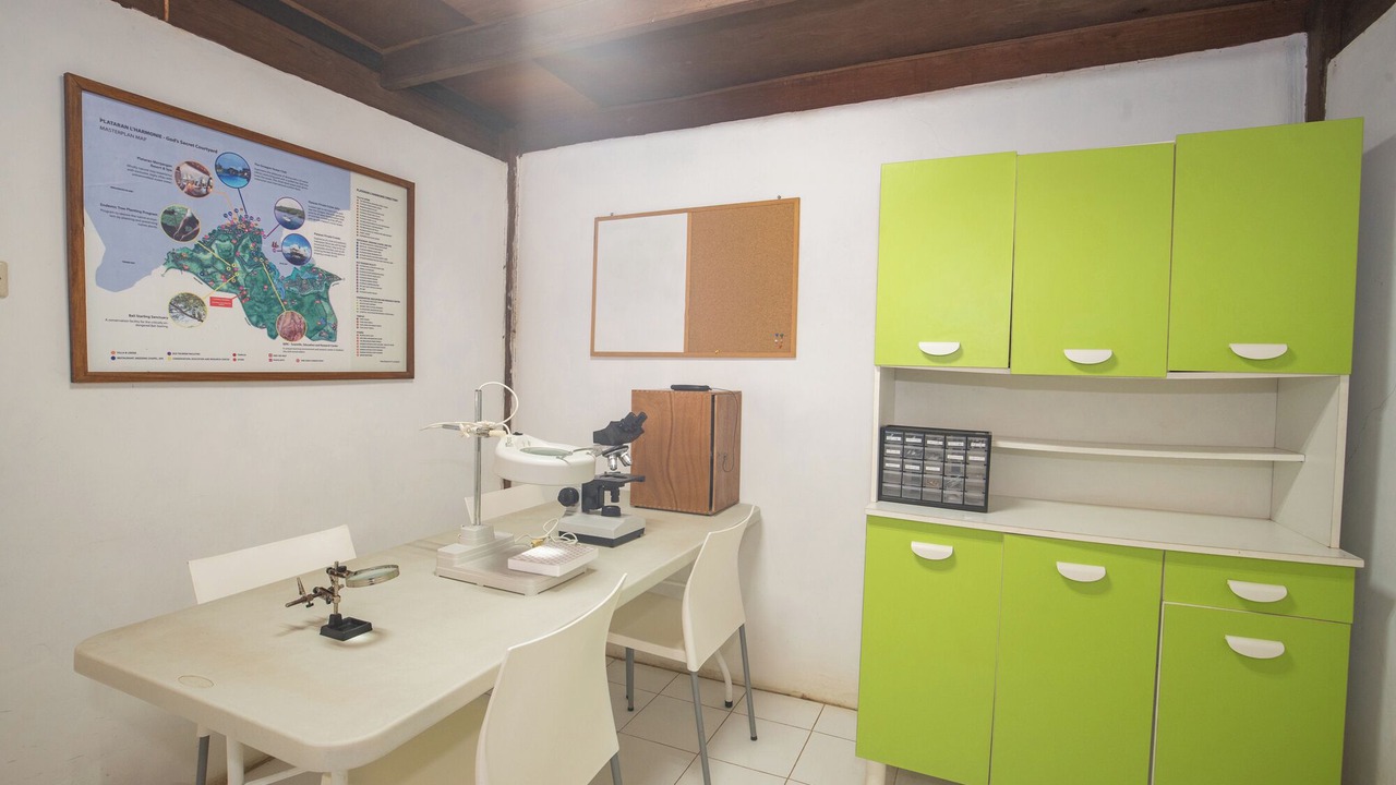 Photo of Others in Pejarakan