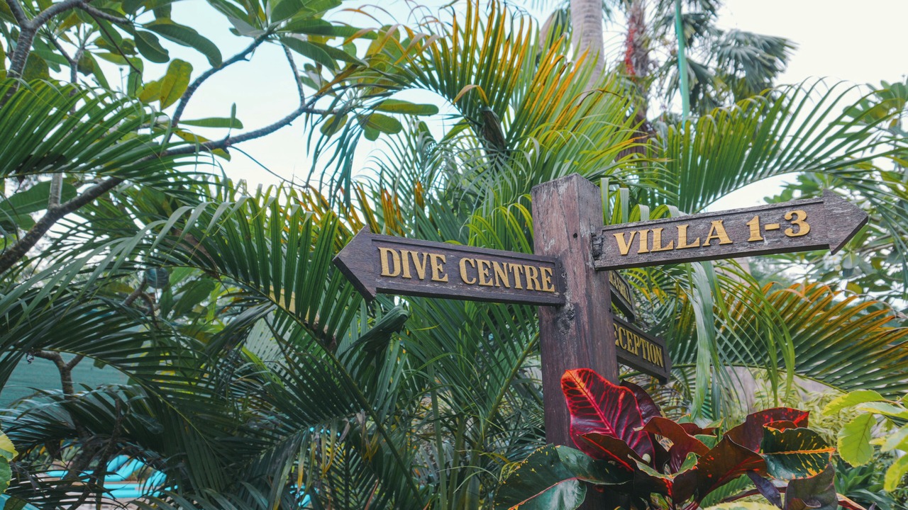 Photo of Outdoor in Mushroom Bay