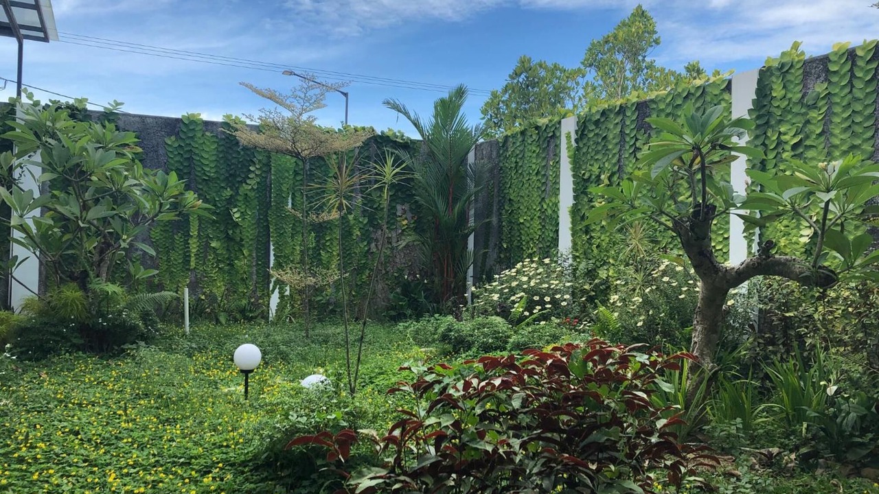 Photo of Outdoor in Timika