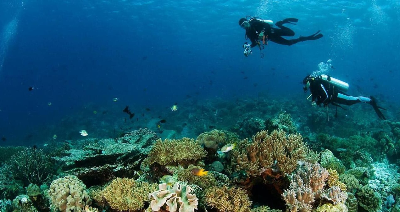 Photo of Others in Tomia Island