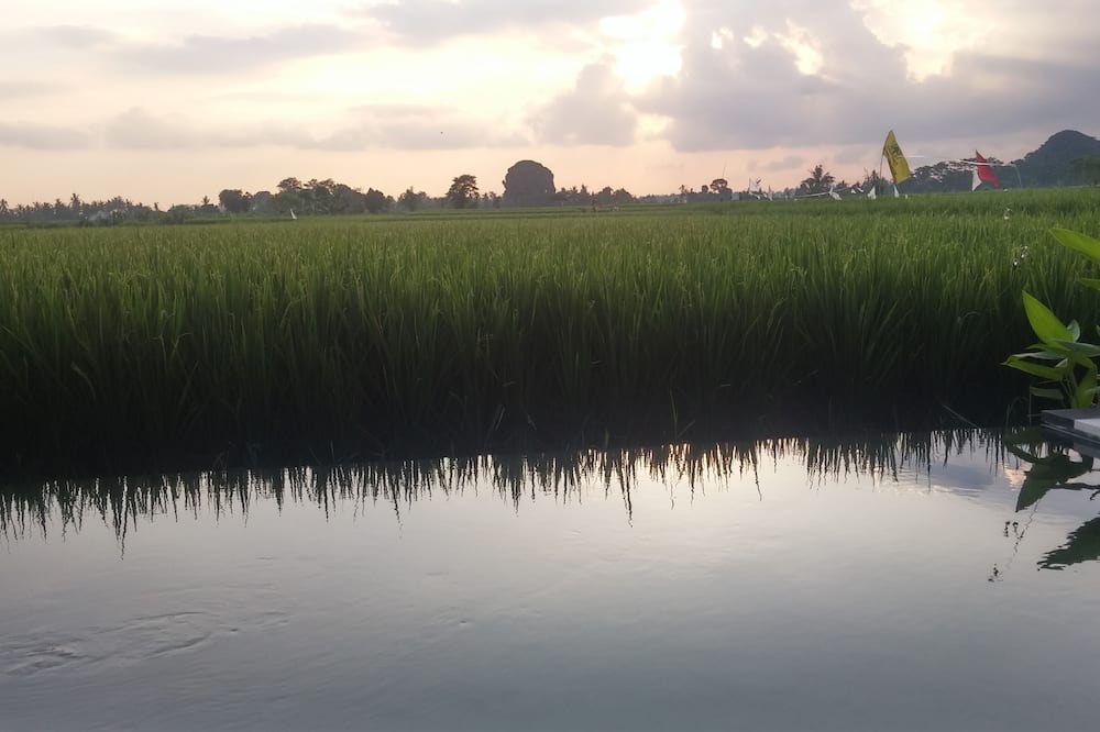 Photo of Others in Lodtunduh
