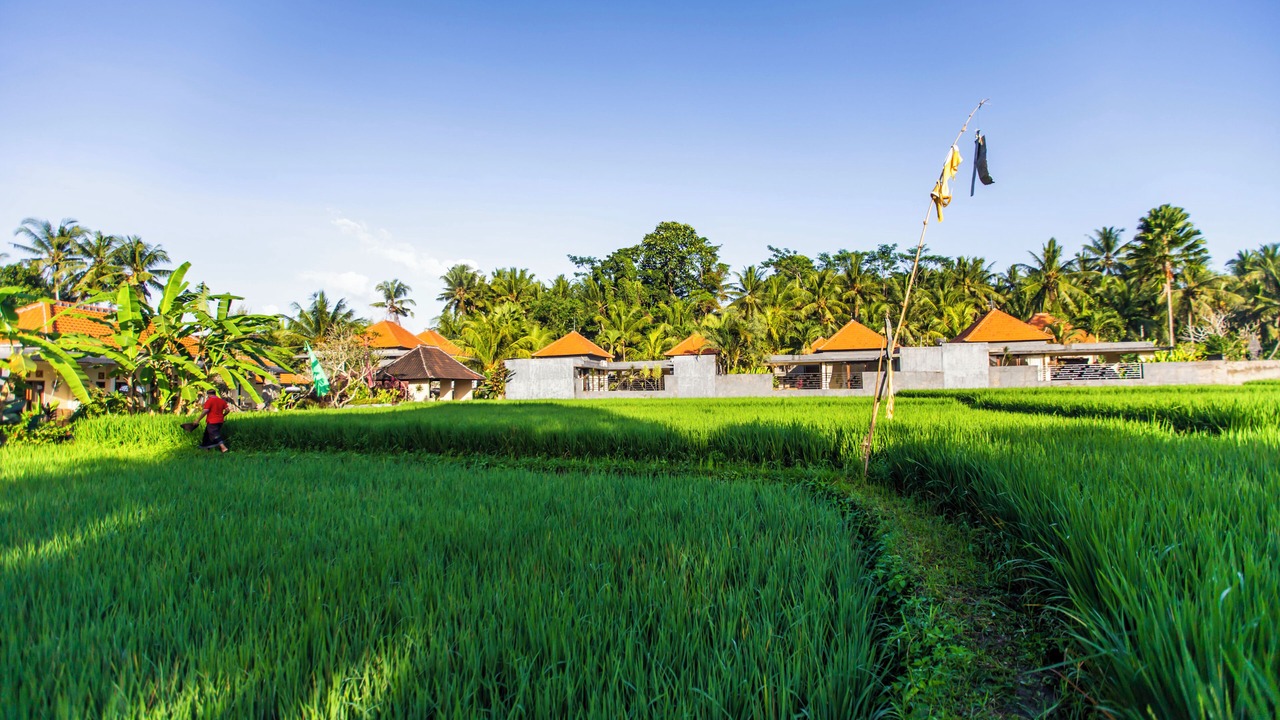 Photo of Outdoor in Lodtunduh
