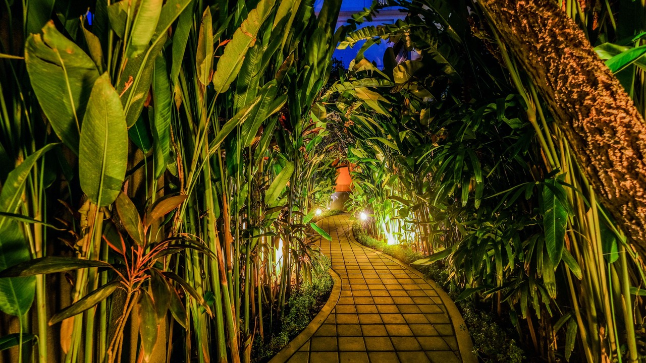Photo of Outdoor in Batu Bolong