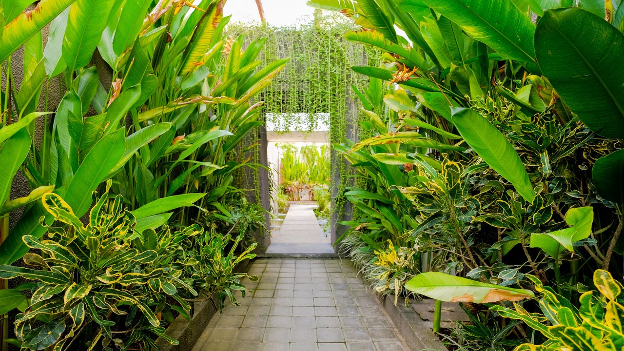 Photo of Outdoor in Batu Bolong