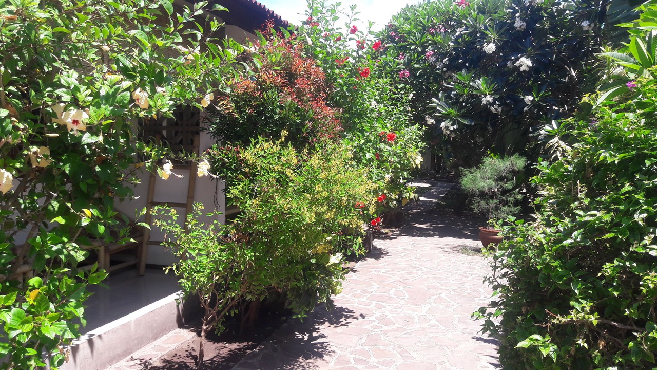 Photo of Outdoor in Gili Air
