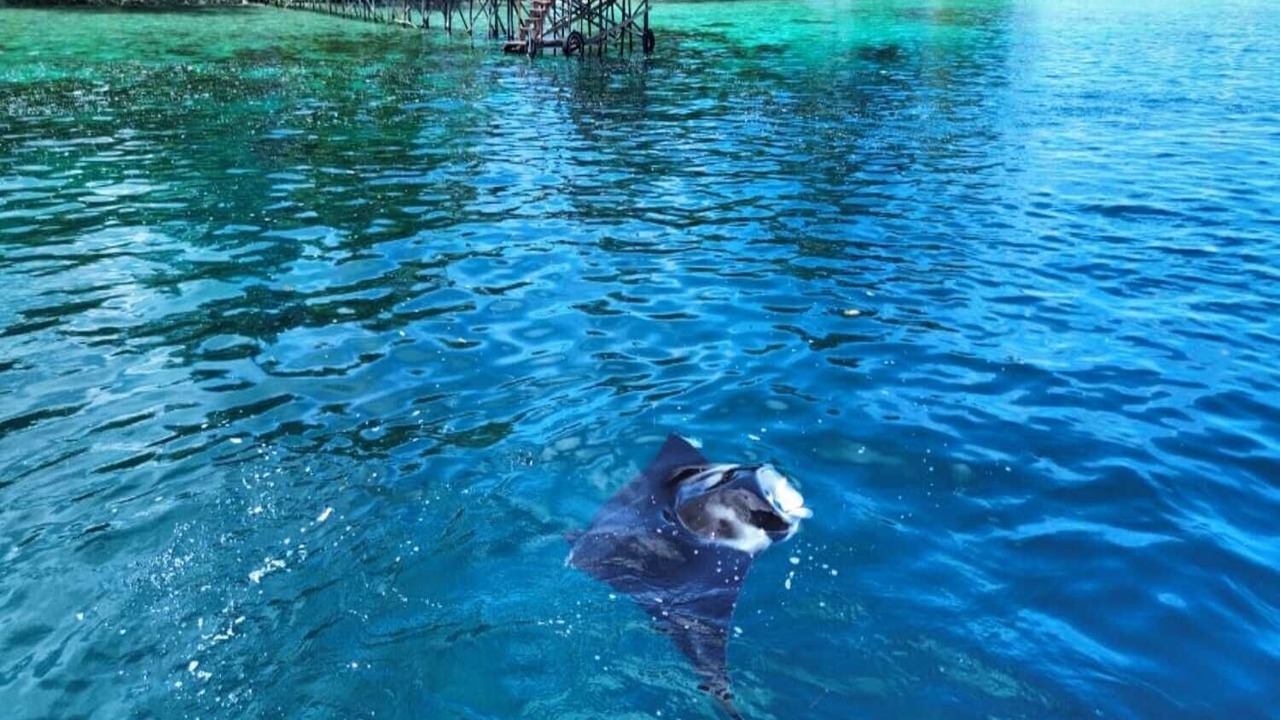 Photo of Outdoor in Pulau Fam