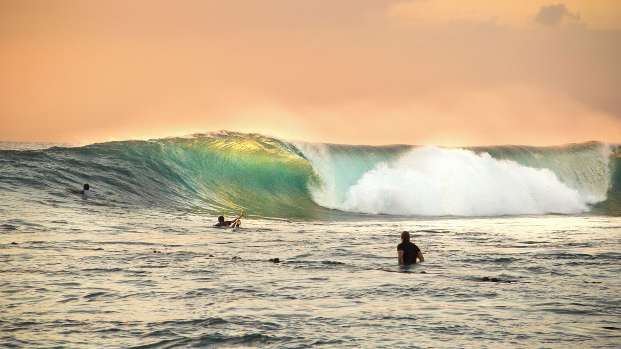 Photo of Others in Jungut Batu