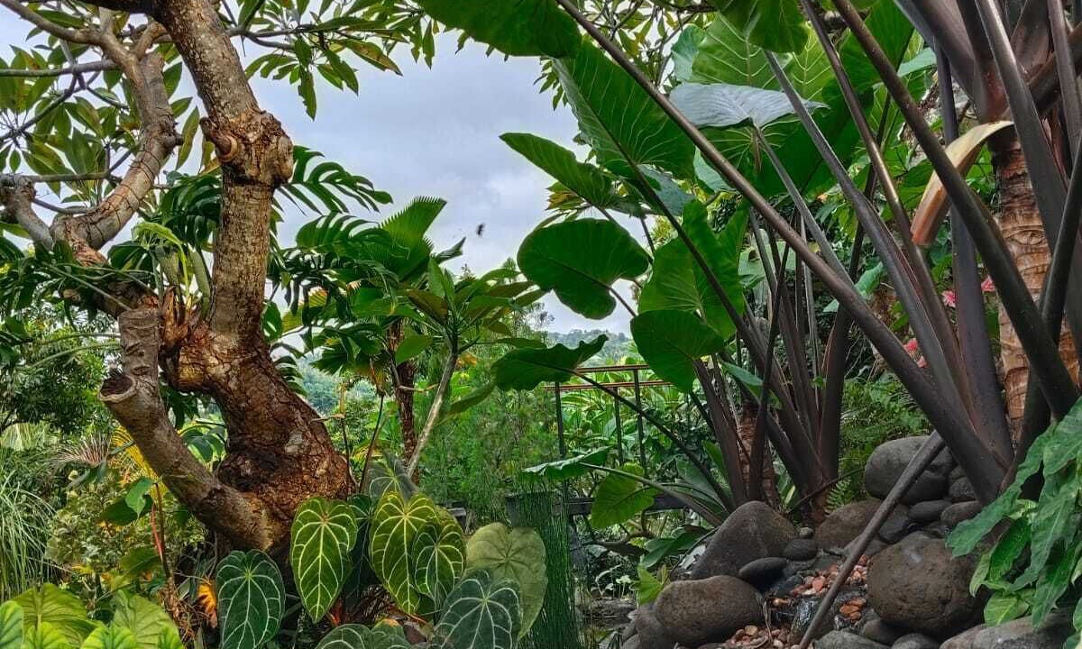 Photo of Outdoor in Banjartegehe