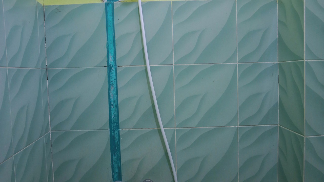 Photo of Bathroom in Krui