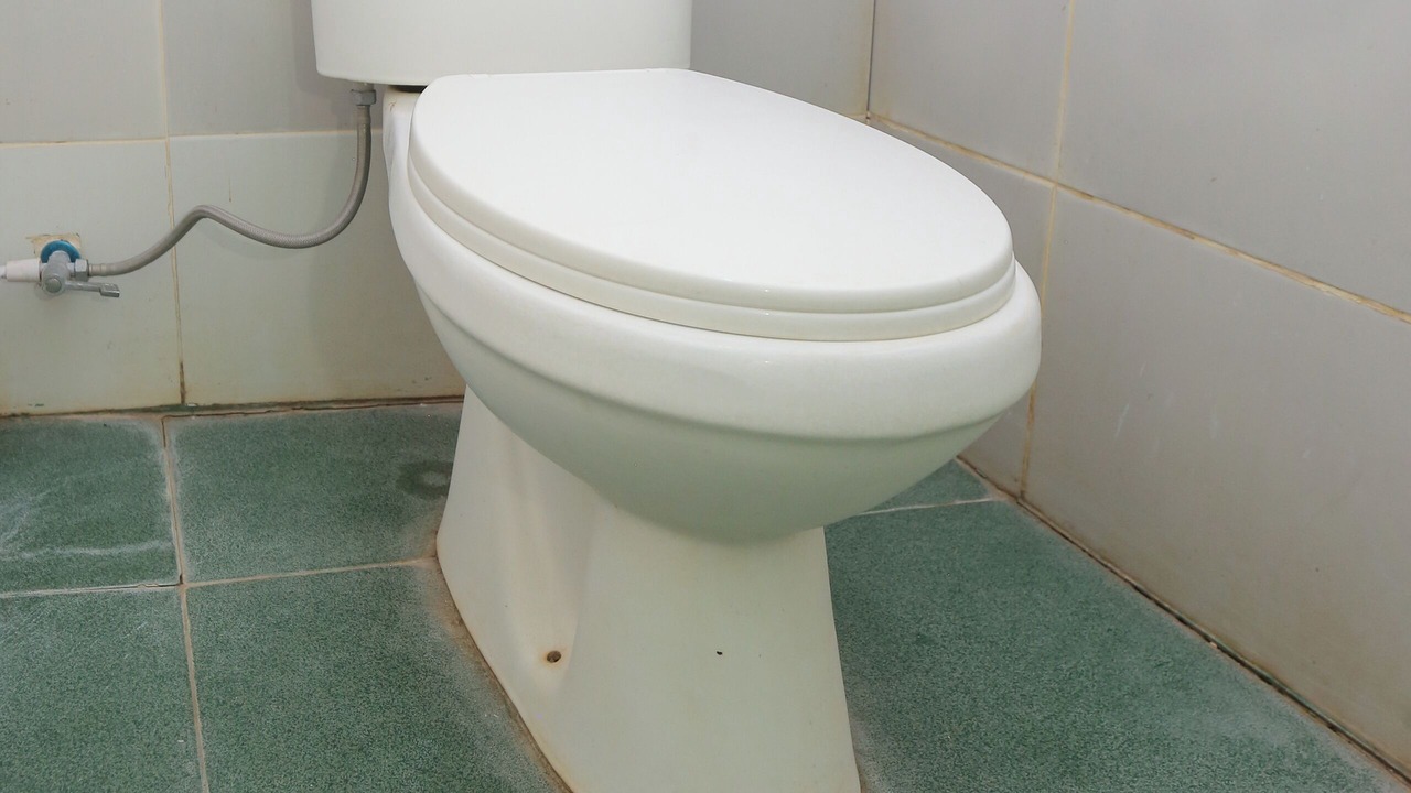 Photo of Bathroom in Krui