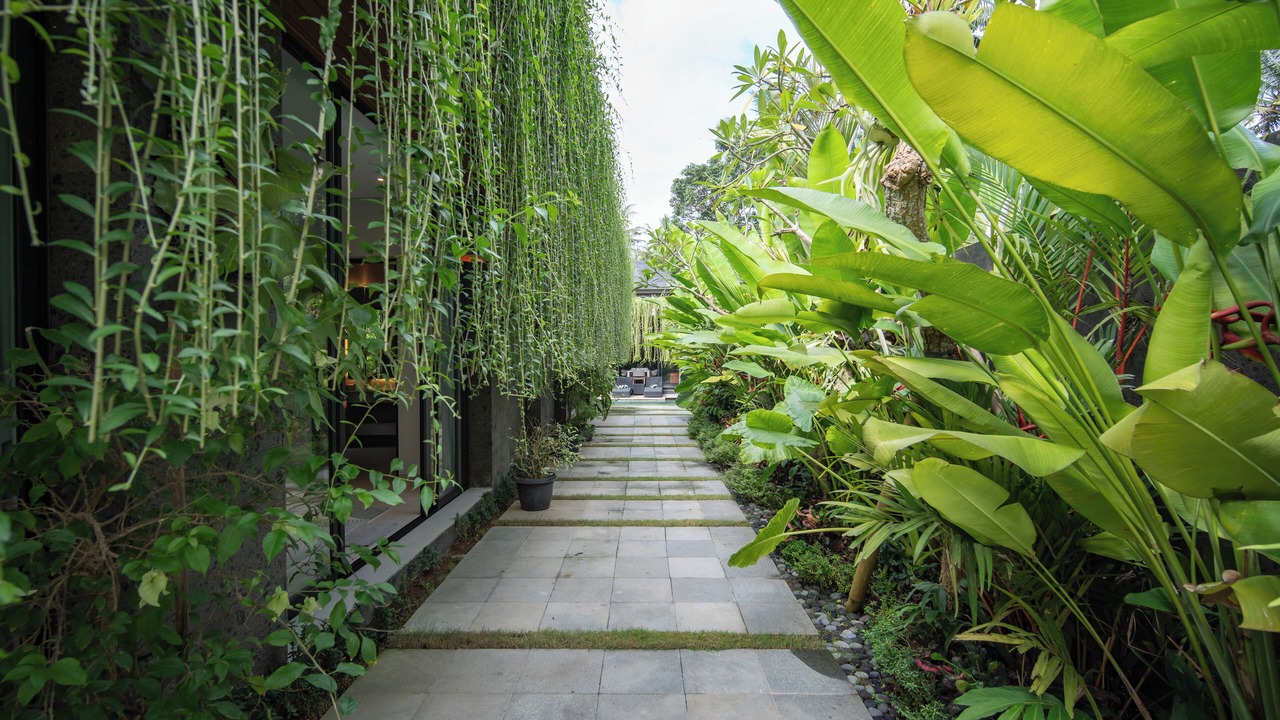 Photo of Outdoor in Batuan