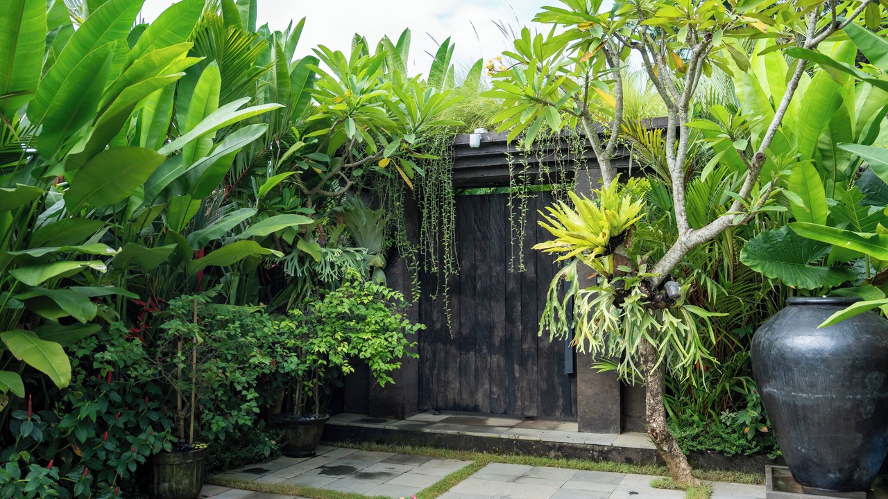 Photo of Outdoor in Batuan