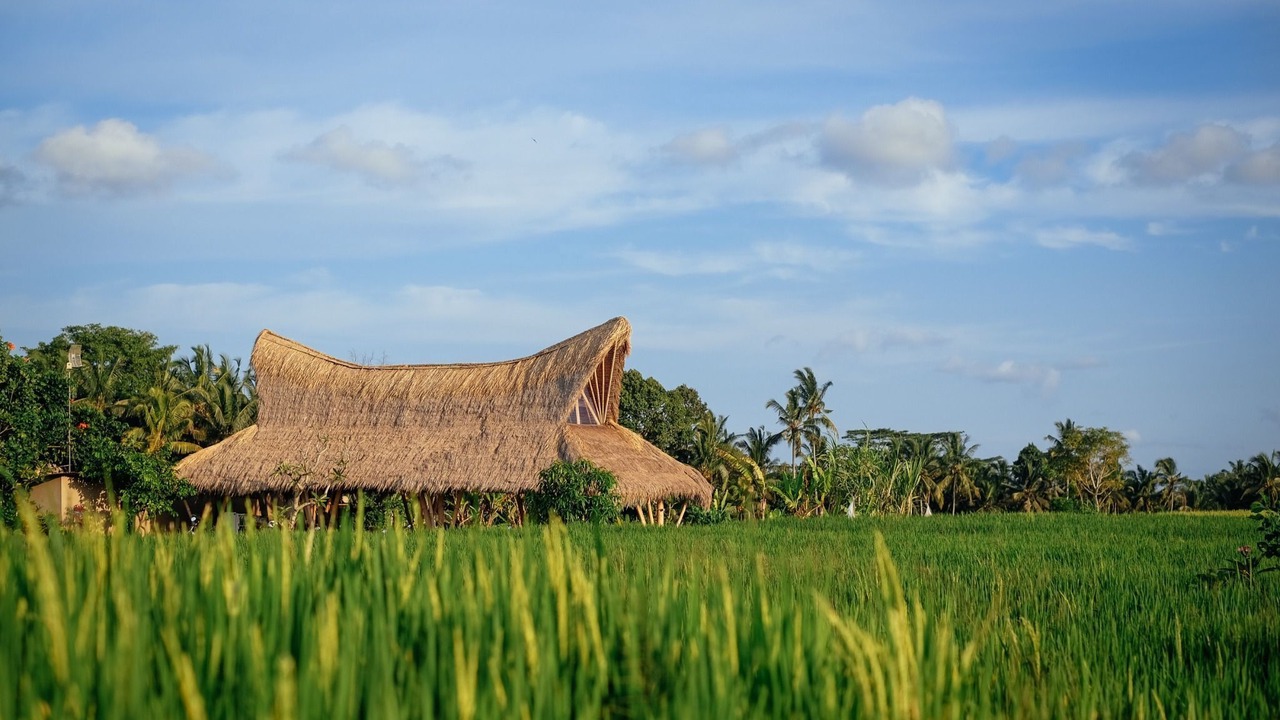 Photo of Others in Peliatan
