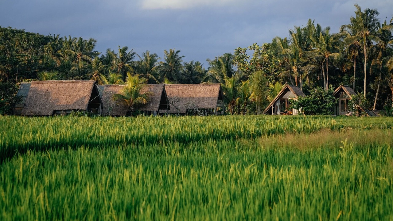 Photo of Others in Peliatan