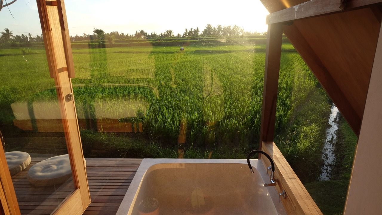 Photo of Outdoor in Peliatan