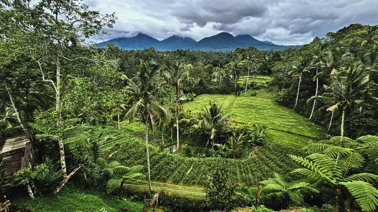 Photo of Others in Mekarsari