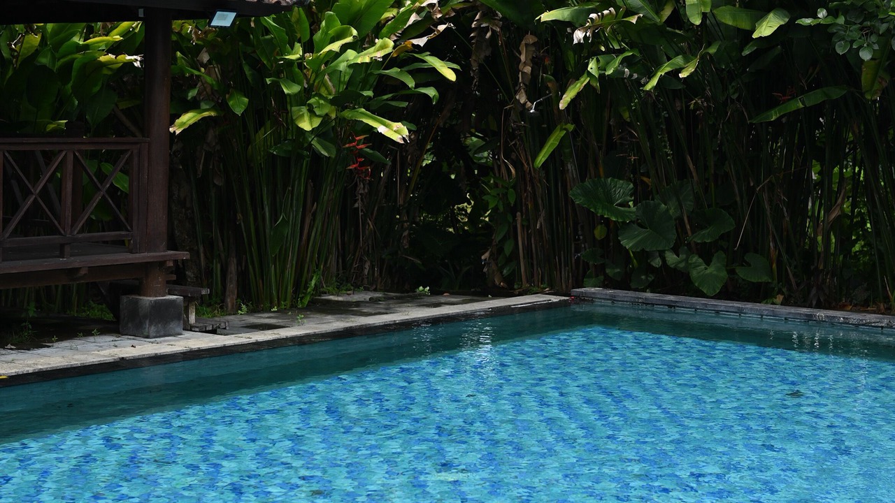 Photo of Outdoor in Peliatan