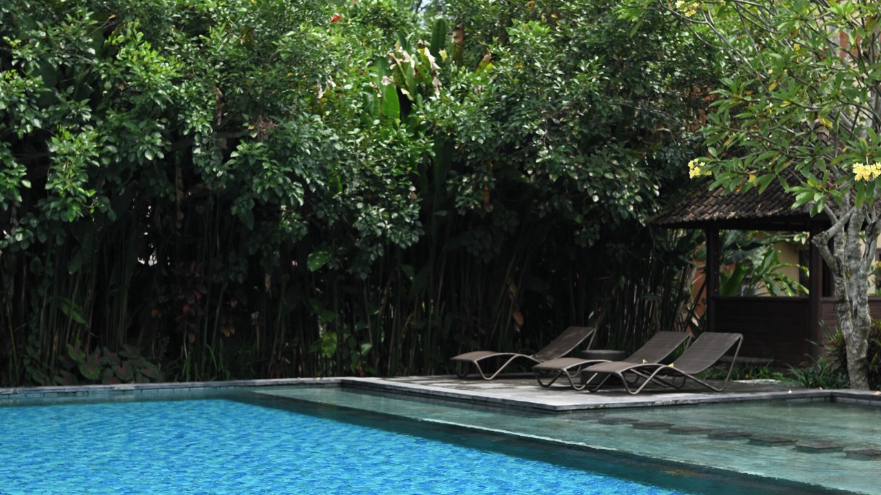 Photo of Outdoor in Peliatan