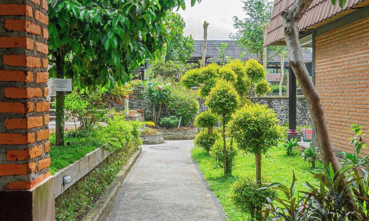 Photo of Outdoor in Tetebatu