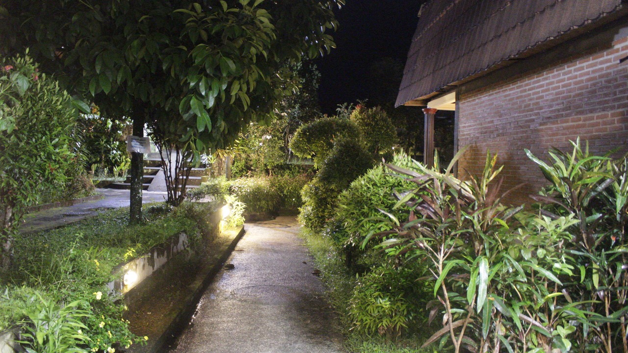 Photo of Outdoor in Tetebatu
