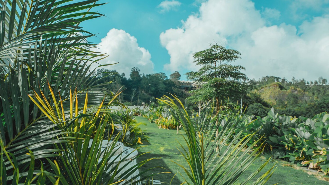 Photo of Outdoor in Toya Bungkah