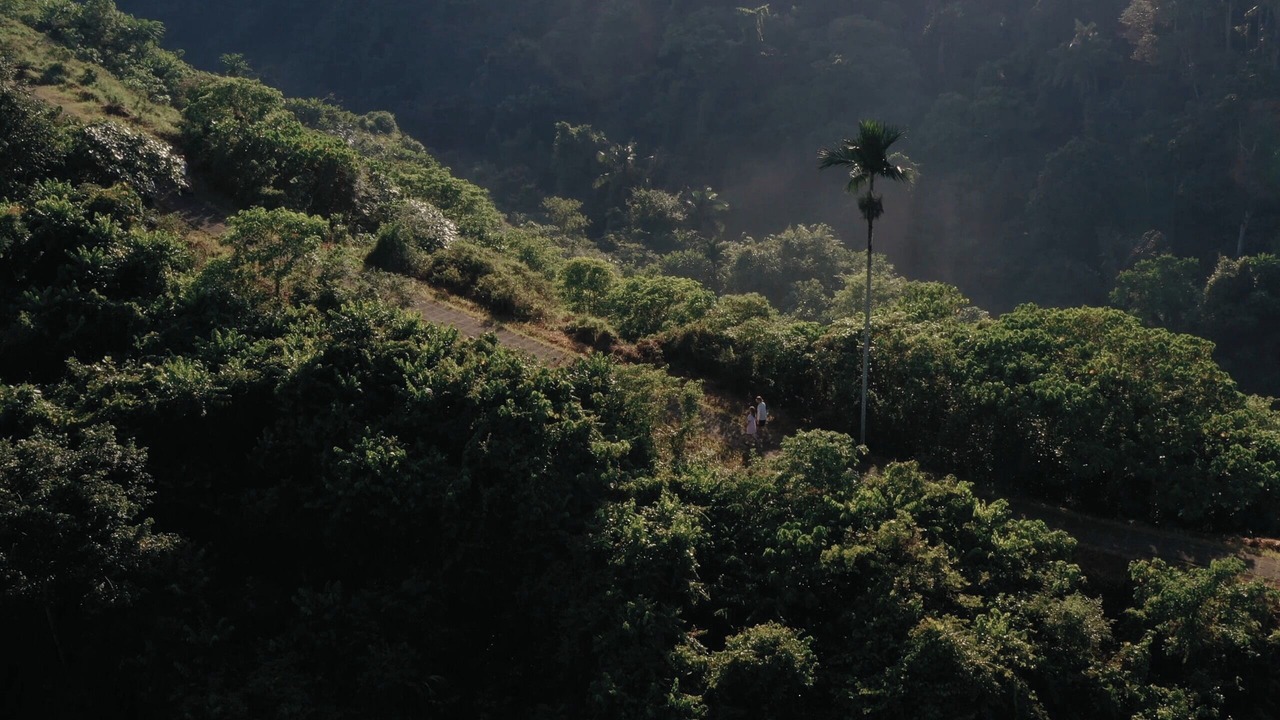 Photo of Outdoor in Payangan