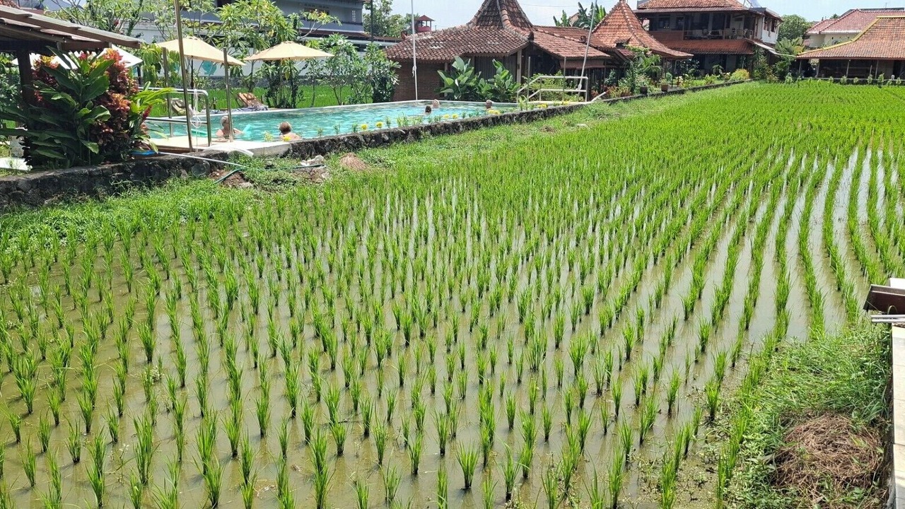 Photo of Outdoor in Sleman