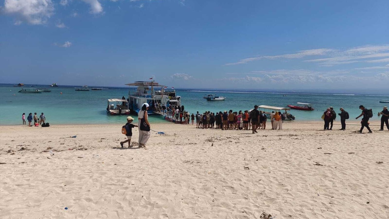 Photo of Others in Mushroom Bay